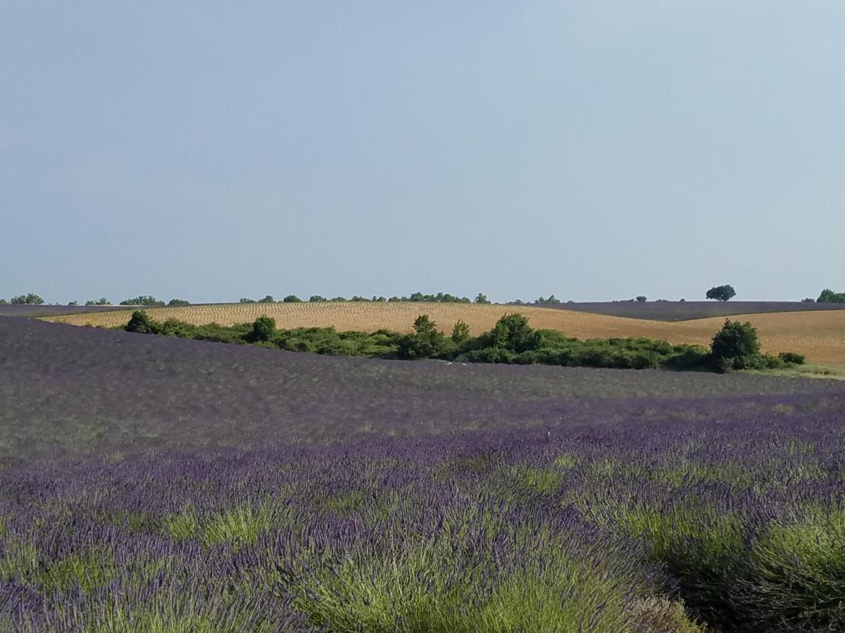 Gite Les Fourches Baudinard Exterior foto